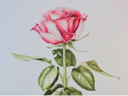 박근희의 힐링이 되는 보테니컬